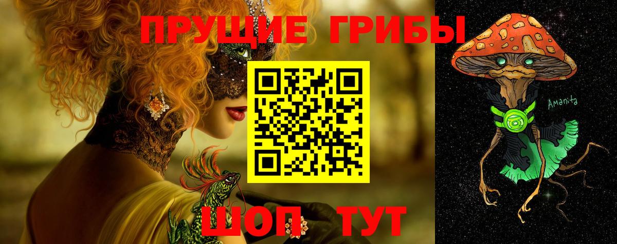 Королёв  Галлюциногенные грибы мицелий  Вход с VPN 
